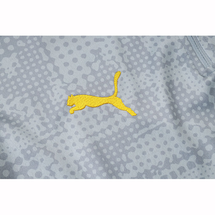 Chandal de Sudadera del Borussia Dortmund Nino 25-26 Gris